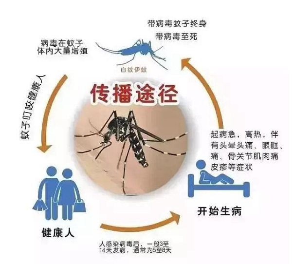 50萬人住院，2萬人死亡，遇上這個瘟神，你會甯可死掉