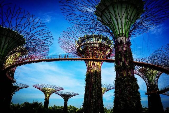 最“绿色”的地方！新加坡“花园城市”之名从何而来？