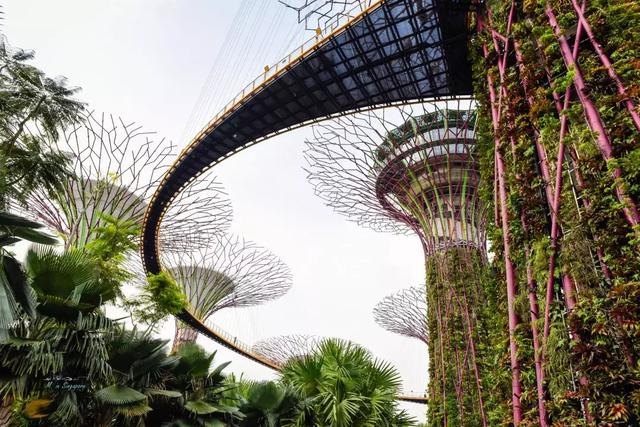 滨海湾花园，新加坡最新地标，一个浪漫到腻的地方