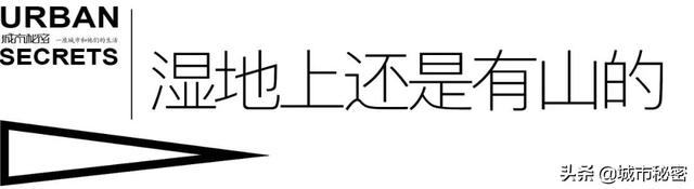 无数新杭州人独爱这里？探寻西溪以西在40年里的逆袭之路