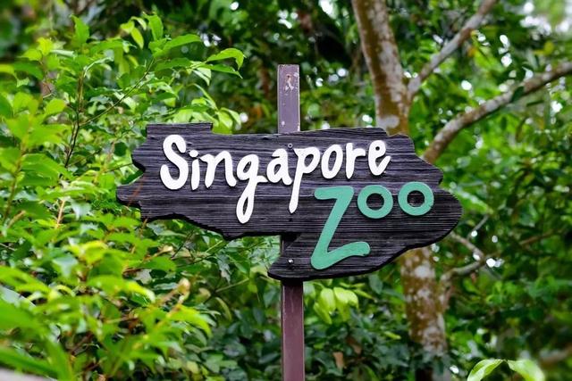 關于新加坡，這些冷知識你知道幾個？