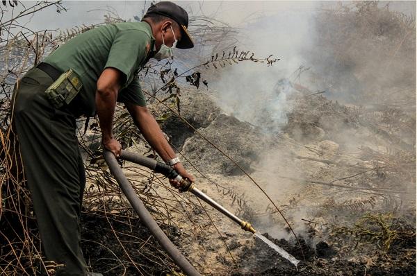 燒芭觸發林火 東南亞多國遭遇煙霾 印尼警方逮捕185人