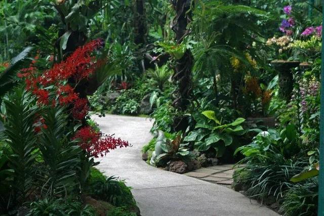 新加坡植物園 - 亞洲第一個公園景點