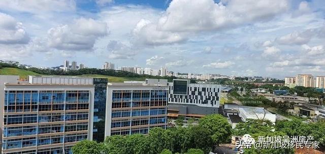 新加坡房产拍卖市场，你知道多少？