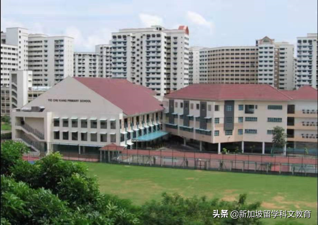 这篇文章，让小学阶段留学新加坡的学生，再也不用为择校而烦恼