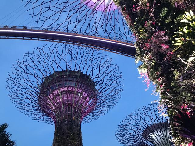 「不负好时光」说走就走的🇸🇬新加坡自由行详记