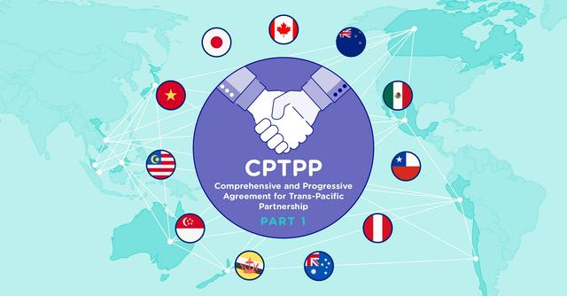 中国申请加入CPTPP，等于加入反华国家联盟，这是一招战略妙棋