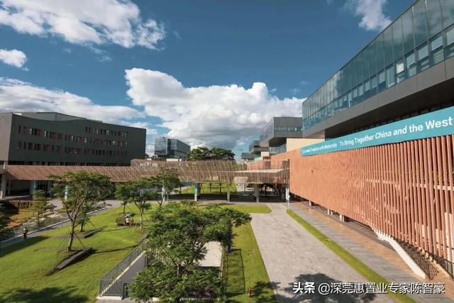 厉害了，香港中文大学（深圳）：就业率95.52%名列前茅