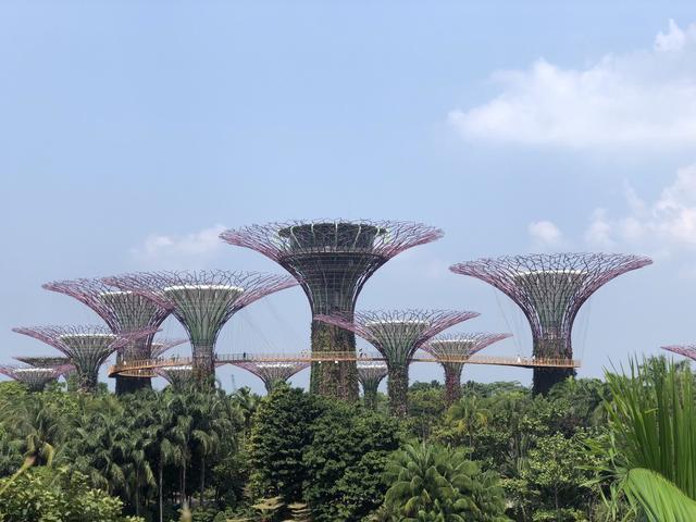 「不负好时光」说走就走的🇸🇬新加坡自由行详记