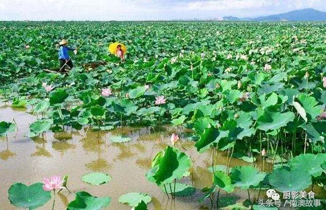 广东美食大全，顶级特产知多少？欢迎广东人继续来补充！