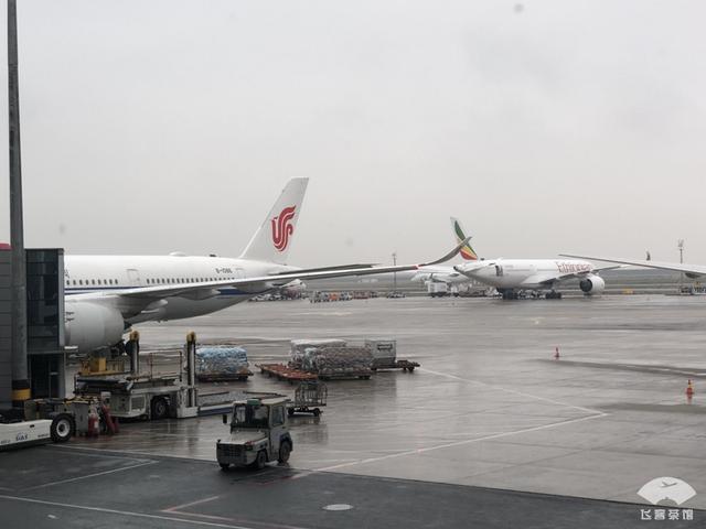 坐飛機如何“免費升艙”？國航A350京滬線實戰經驗分享