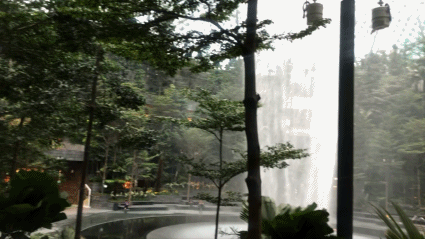 耗資85億！新加坡把瀑布雨林搬進樟宜機場，網友們竟然期待飛機晚點了