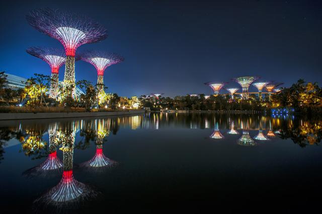 新加坡海灣景觀工程 / 世界上最大的景觀工程之一