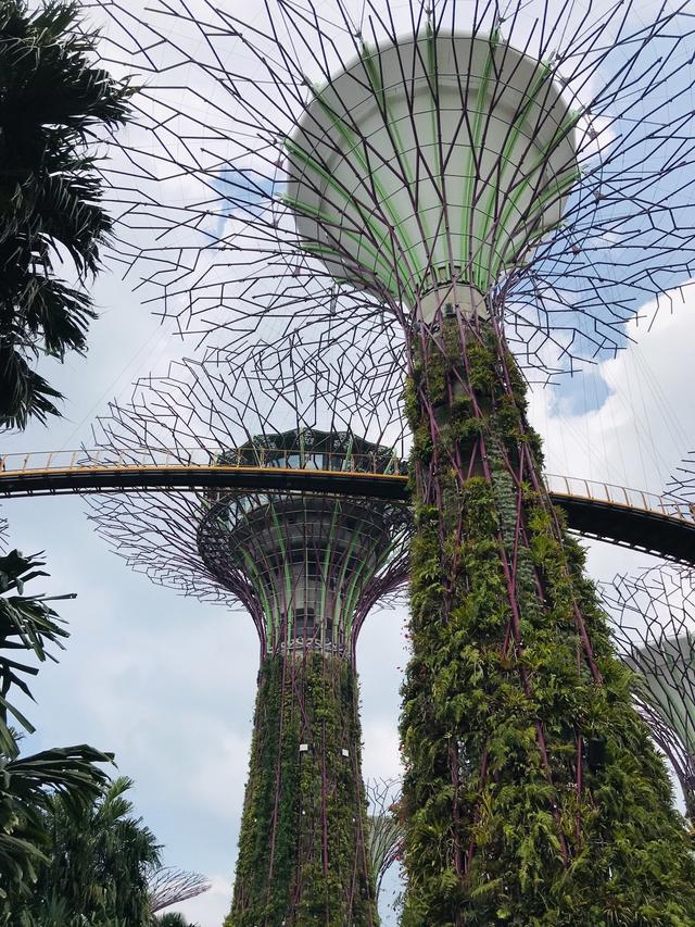 「不负好时光」说走就走的🇸🇬新加坡自由行详记