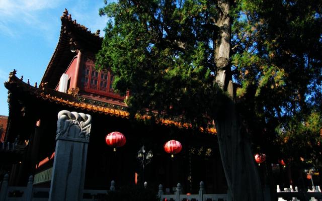 赵州“柏林禅寺”