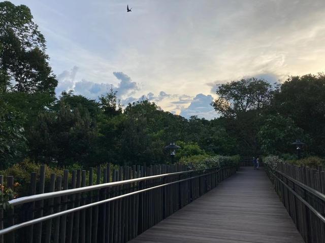 新加坡植物园，给你一处绿色空间