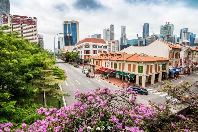 都说新加坡四季如夏，道路很干净，真的是这样吗？旅游达人告诉你