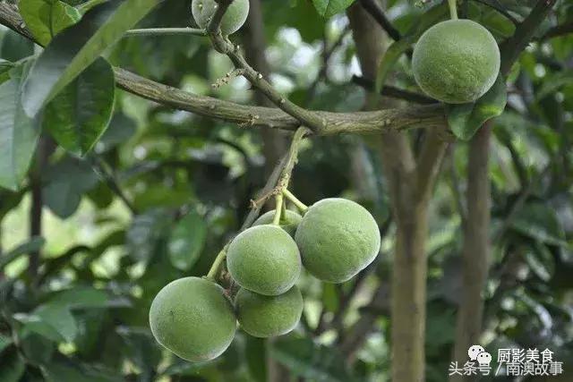 广东美食大全，顶级特产知多少？欢迎广东人继续来补充！