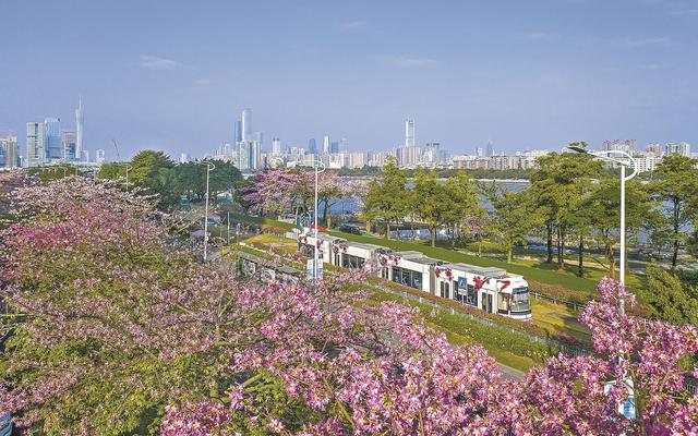 “绣花功夫”推进国土绿化 科学规划建设美丽广州