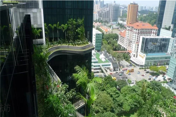 新加坡冠以全球幹淨城市，實至名歸？還是一個“被幹淨”的城市？