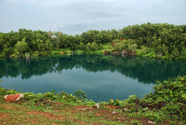 新加坡寸土寸金，第二大島卻甯願荒廢，果然是個愛護環境的國家