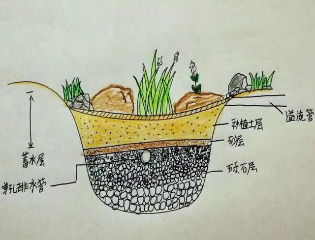 社区公园为节点建海绵城市网络，深圳初中生课题成区两会重点建议