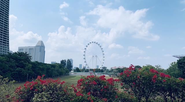 「不负好时光」说走就走的🇸🇬新加坡自由行详记