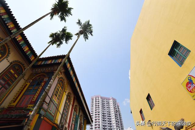 五彩斑斓的“小印度”，带你走进新加坡里的“印度城”