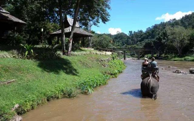 泰铢今年亚洲最强！旅游业遭殃经济下滑，泰政府：先发红包