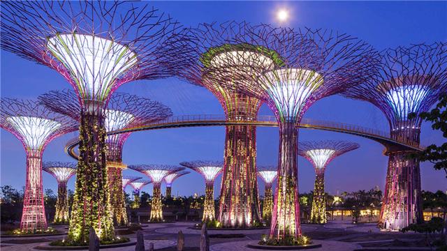 新加坡濱海灣花園照明規劃賞析 珍藏 城市景觀 燈光照明景觀