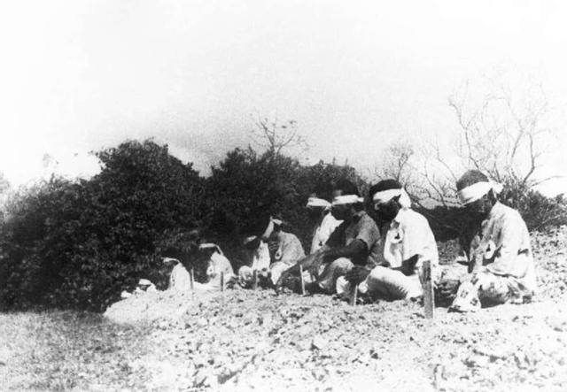 日本恶行遍布亚洲，除南京大屠杀外，在新加坡亦犯下反人类罪行