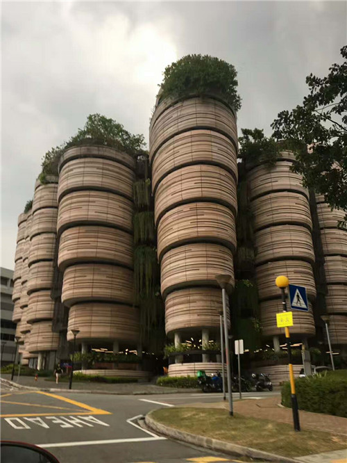 揭秘新加坡南洋理工大学王牌学院，不可错过