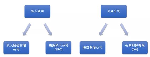 收藏级 | 新加坡公司常见类型对比与注册攻略