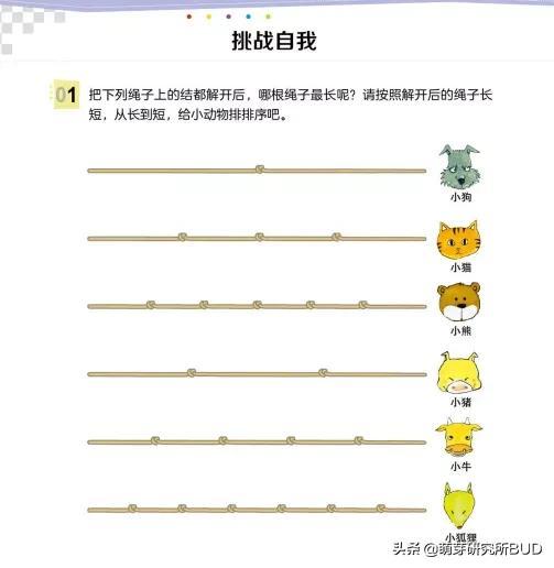 来自国外的练习册，被吹爆后誉为世界顶尖，希望你跟风时对比清楚