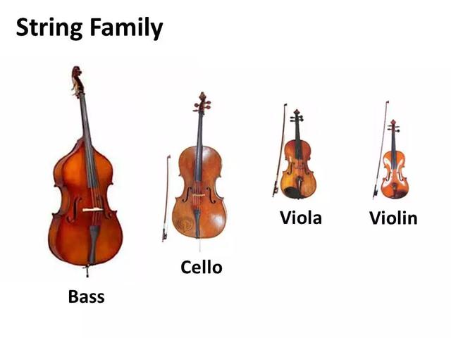 藝堂課｜“存在感最低的樂器”？看看你對中提琴的誤解有多深！