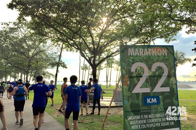 渣打新加坡國際馬拉松：7.73分，跑成了一塊沉浸在拍照中的行走鹽田