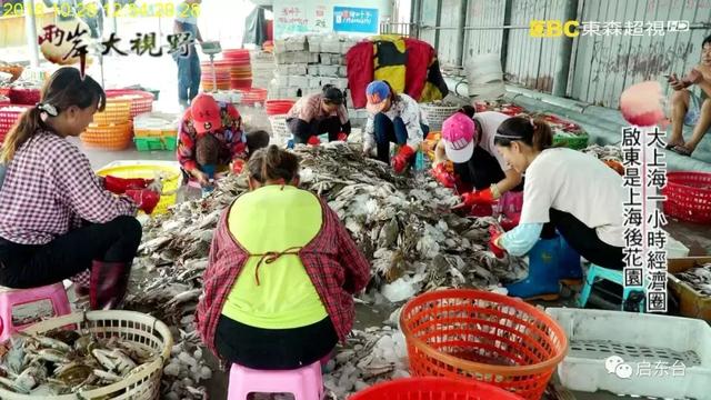 启东名扬宝岛，上台湾电视台了，快看看说了啥？