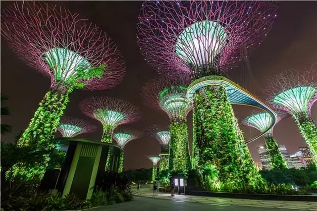 新加坡的绝色夜景