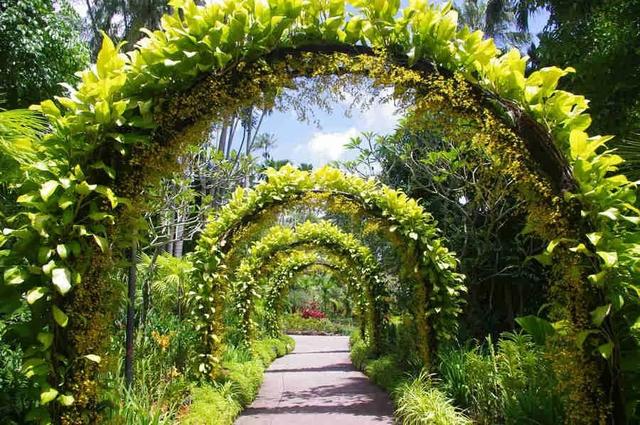 最“綠色”的地方！新加坡“花園城市”之名從何而來？