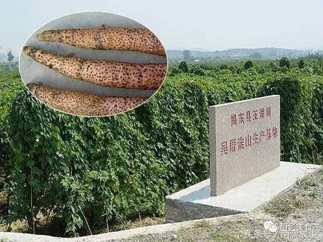 广东美食大全，顶级特产知多少？欢迎广东人继续来补充！