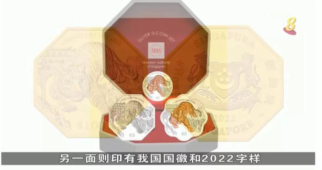 国大全面改用电动接驳巴士；中新即将联合公布大熊猫宝宝的名字