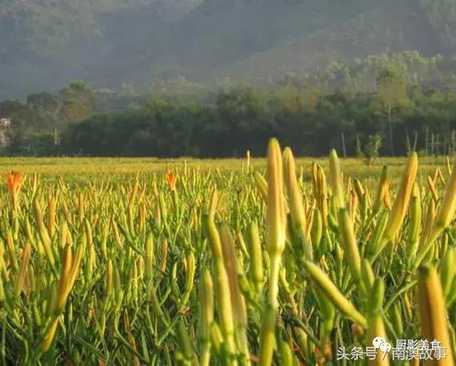 广东美食大全，顶级特产知多少？欢迎广东人继续来补充！