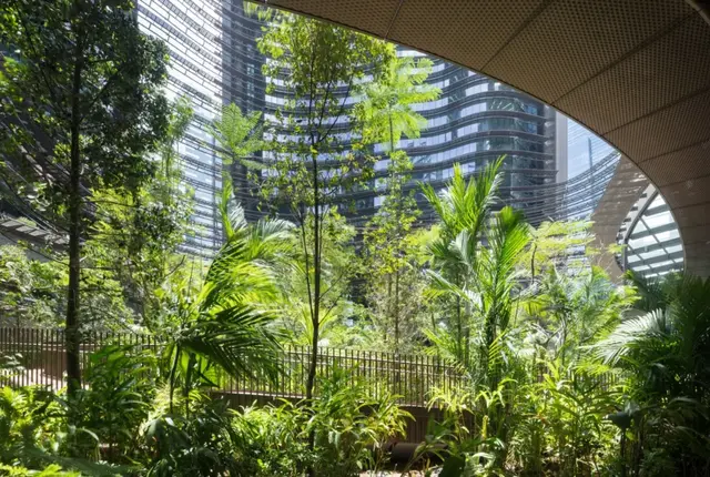梯田绿谷 | 新加坡滨海盛景豪苑