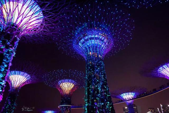 滨海湾花园，新加坡最新地标，一个浪漫到腻的地方