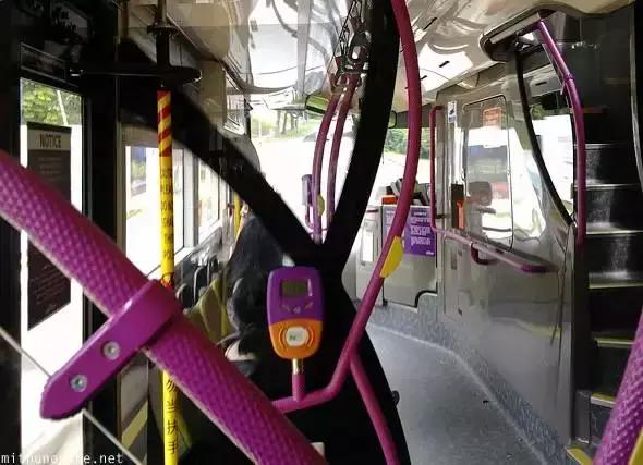 乘客與司機爭執致車輛失控，號稱亞洲第一的新加坡公交？
