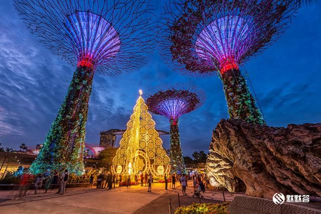 新加坡必游景点，一定不能错过滨海湾花园「Gardens By The Bay」
