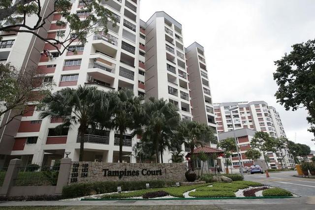 超大型公寓楼盘仅$60多万起，位于新加坡东部共管公寓