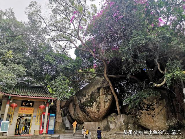 厦门有座千年古寺 香火旺盛许愿特灵验 与中国最美大学仅一墙之隔