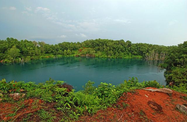 新加坡寸土寸金，第二大島卻甯願荒廢，果然是個愛護環境的國家