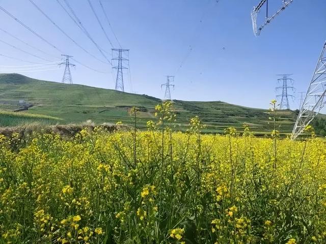 風光水核儲……中國能建一批重要工程迎來關鍵節點